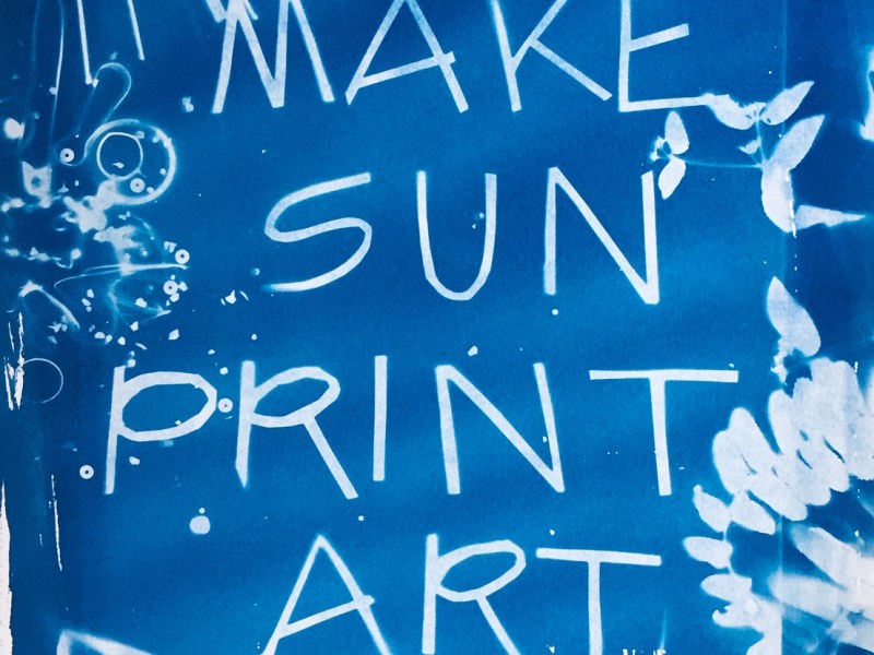 Make Sun Print Art: Blueprint Workshop for&nbsp;Kids