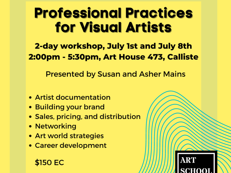 Professional Practices for Visual&nbsp;Artists